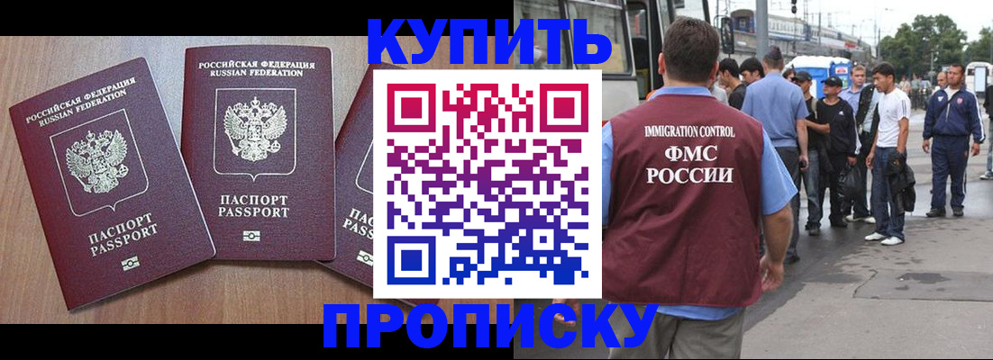 прописка 2025 в Могочи